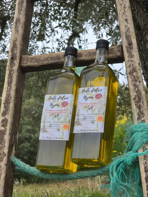 Bouteilles d'huile d'olive sur une &eacute;chelle dans l'olivier