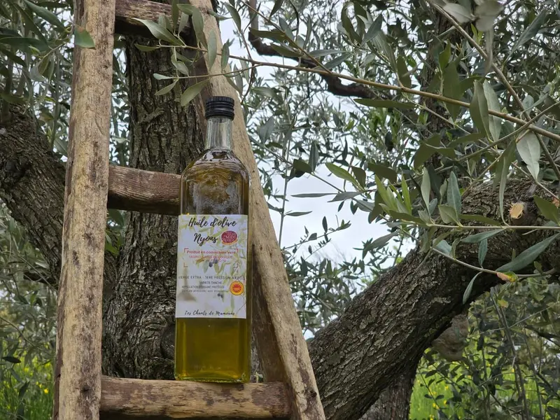 Bouteille d'huile d'olive dans l'olivier