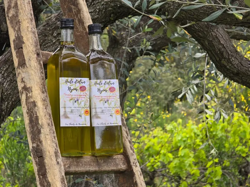 Bouteilles d'huile d'olive avec olivier en arri&egrave;re-plan