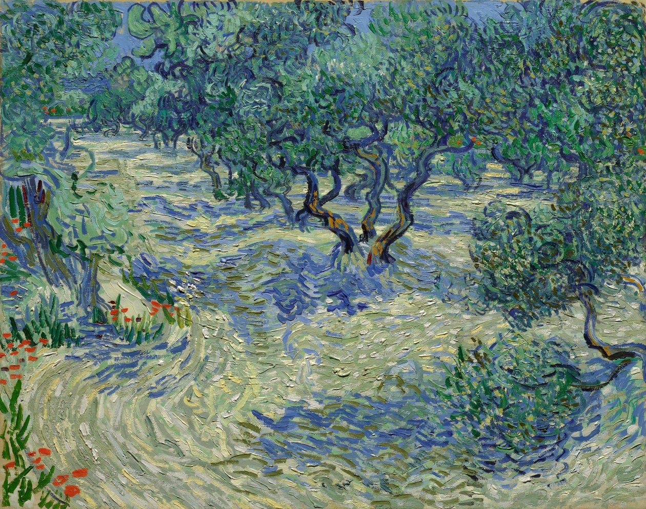 Van Gogh — Olive Orchard