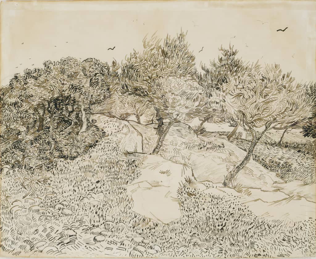 Van Gogh — Oliviers &agrave; Montmajour